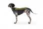 Preview: Ruffwear Climate Changer Pullover Cedar Green Gr. M